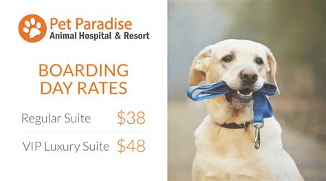 Affordable Dog Boarding Rates