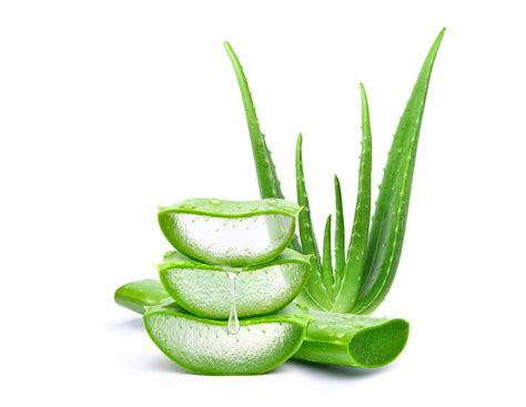 Aloe vera for ruddy skin color