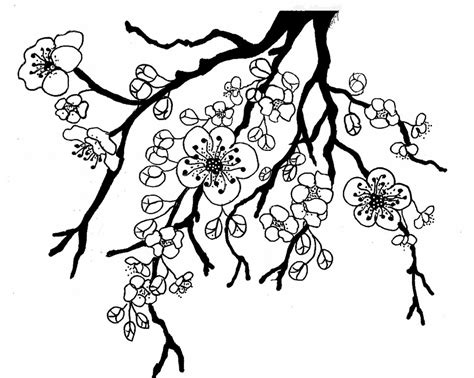 Apple Blossom Coloring Page