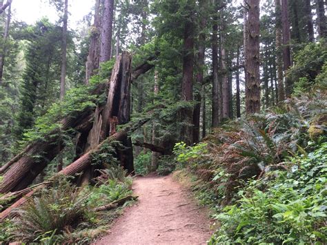 Arcata CA Outdoor Activities