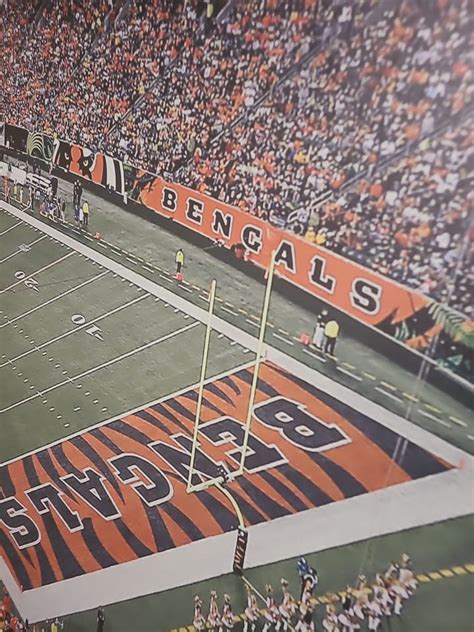 Bengals Nation Forum