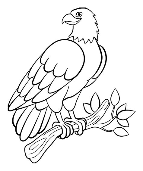 Bird Coloring Pages For Kids Free