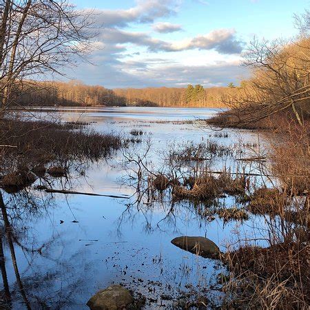 Braintree Ma Parks