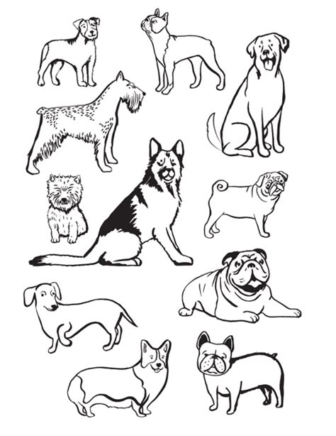 Breed-Specific Coloring Pages