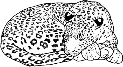 Cheetah Coloring Pages For Kids To Print