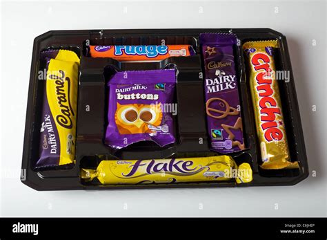 Chocolate and Sweet Treats Selection