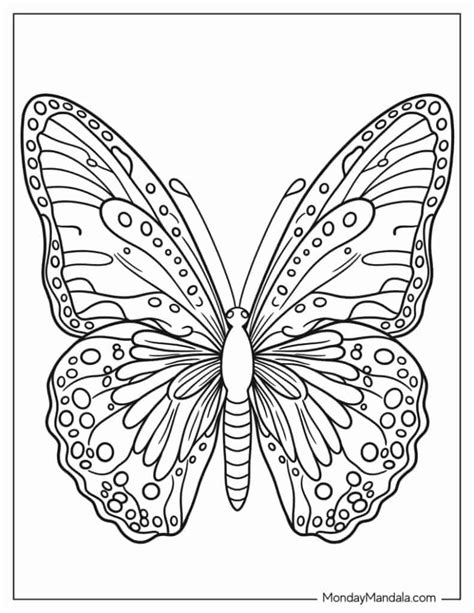 Coloring Pages Butterfly