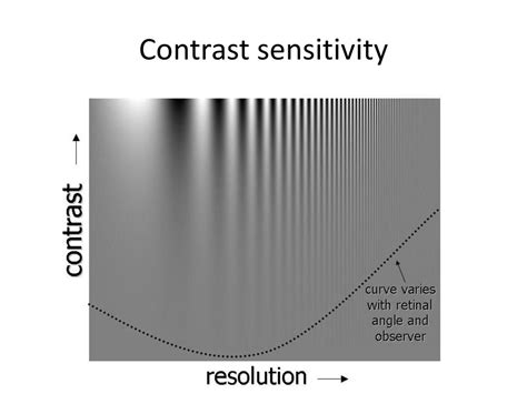 Contrast Sensitivity