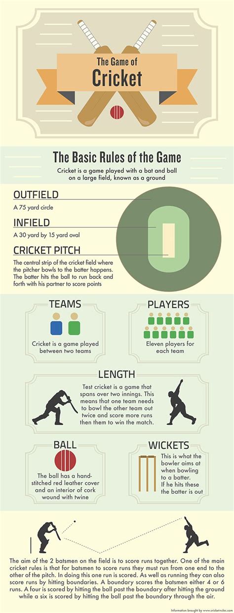 Cricket Game Explanation