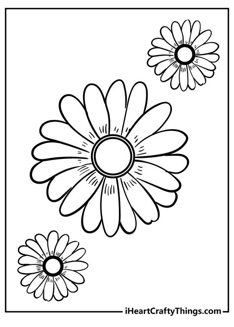 Daisy Petal Coloring Page
