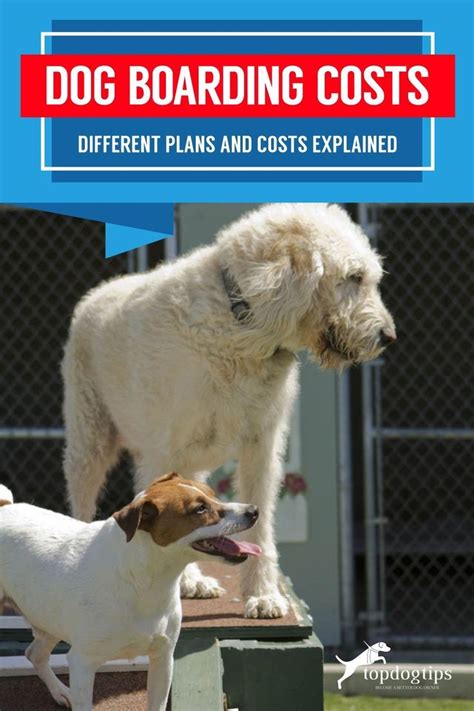 Dog Boarding Cost Conclusion