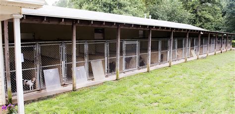 Dog Boarding Facilities Raleigh NC