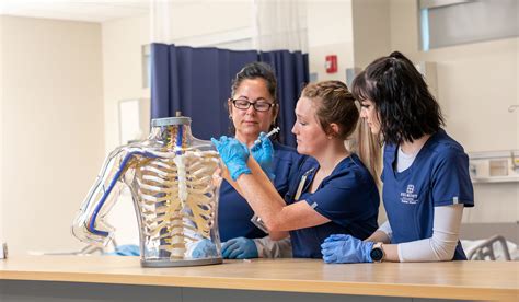 Education and Healthcare in 40221