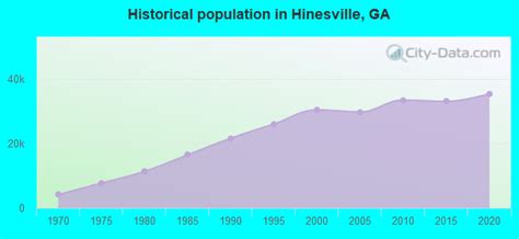 Hinesville GA 31310 Demographics