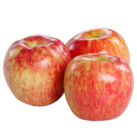 Honeycrisp Apple