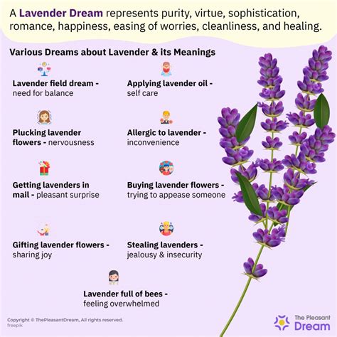 Lavender Dream