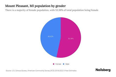 Mt Pleasant MI Demographics