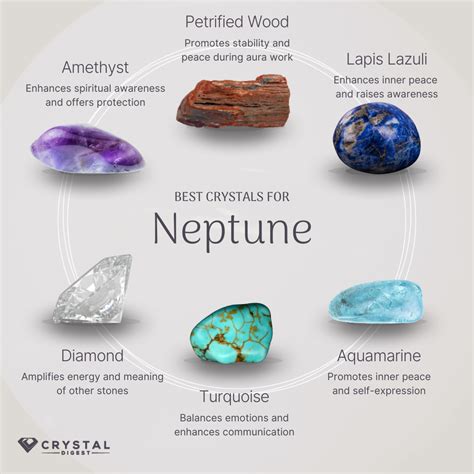 Neptune Transportation