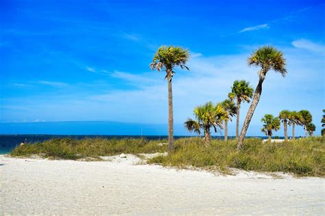 Palm Harbor, FL, waterfront