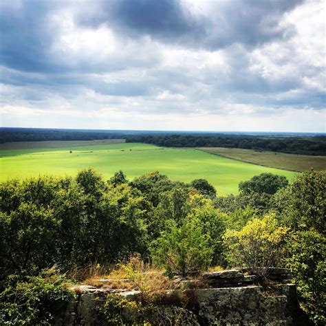 Pea Ridge Military Park Wildlife