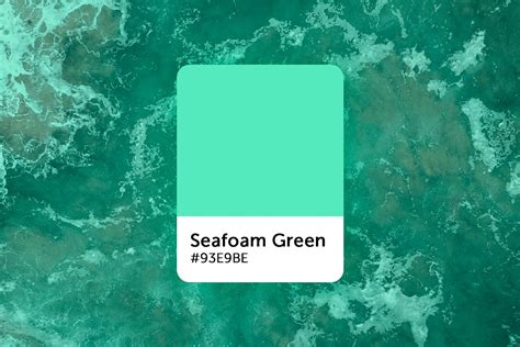 Sea Foam Color Palette