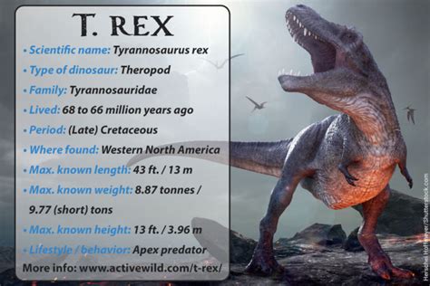 T Rex Facts for Kids