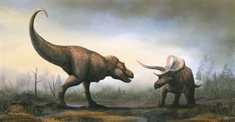 T-Rex vs. Triceratops