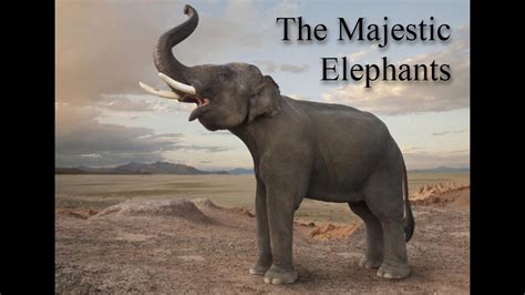 The Majestic Elephant