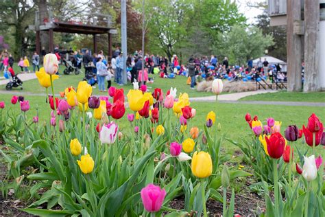 Things to Do in Huntington Village