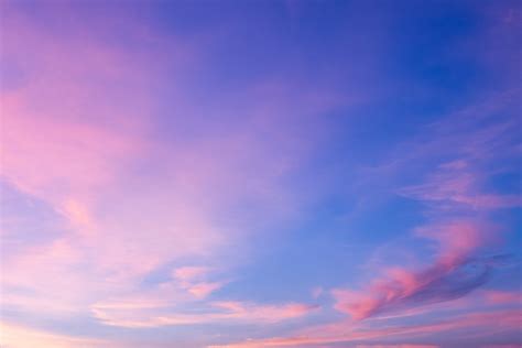 Things to Do in Linden NJ