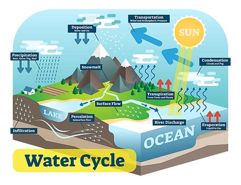 Think About the Water Conditions