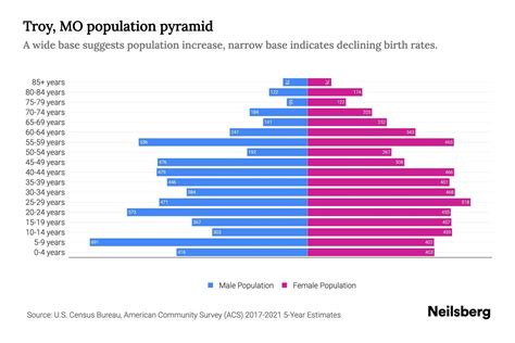 Troy Demographics