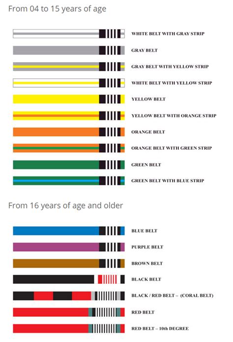 Understanding Jiu Jitsu Belt Colors