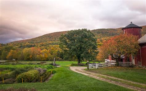 Williamstown MA Neighborhood Guide