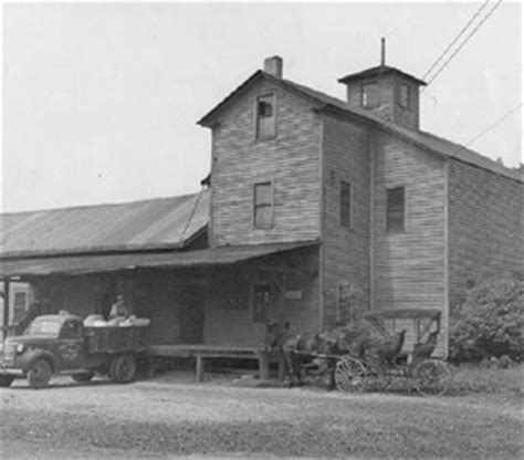 Williamsville History