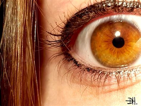 Amber colored eyes