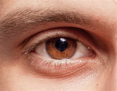 Characteristics of amber colored eyes