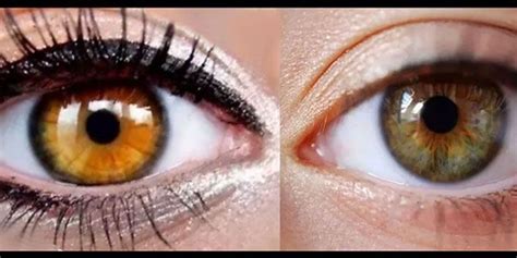 Myths and legends surrounding amber colored eyes