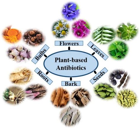 Antimicrobial properties
