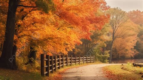 Autumn scenery coloring page