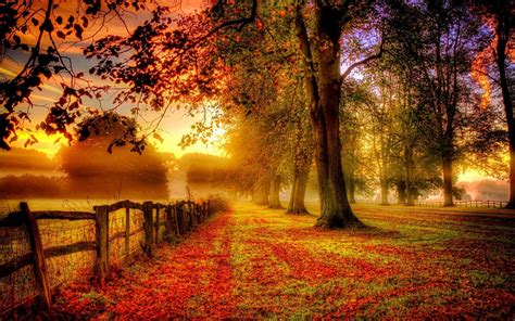 Autumn scenery coloring page