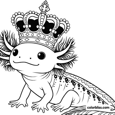 axolotl coloring page where to find