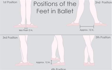 Ballet Terminology
