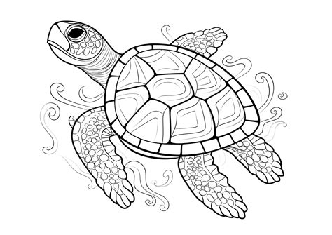 Benefits of Coloring Turtle Pictures