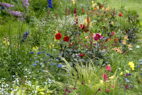 Blooming Garden Color Palette