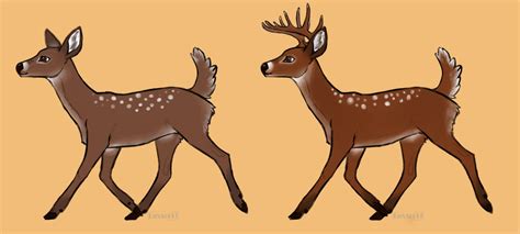 Buck