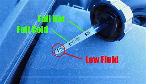 Check Power Steering Fluid Level