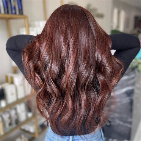 Chestnut Brown Hair