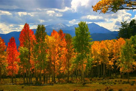 Colorado Fall Colors
