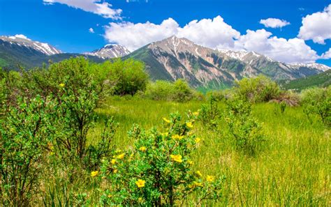 Colorado's Tallest Peaks